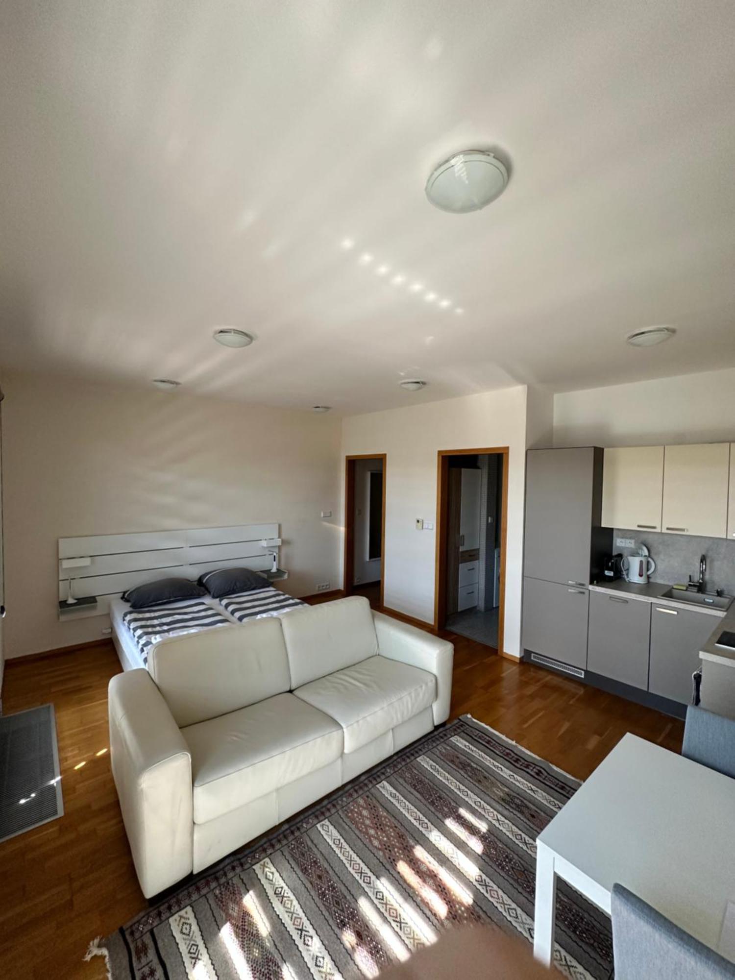 פראג Cozy Apartment מראה חיצוני תמונה